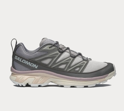Zapatillas Salomon XT6 Expance Lunar grey